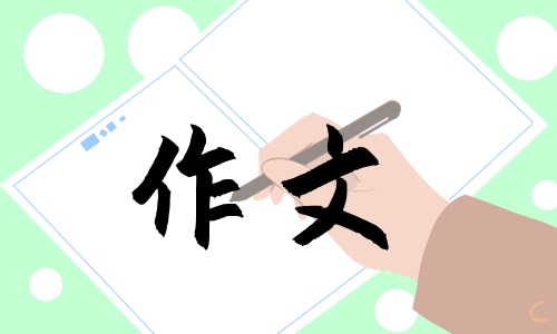 神奇的探险之旅作文500字经典精选