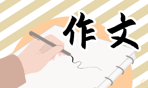 篮球小达人五年级作文5篇