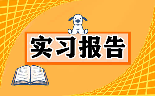 最新会计毕业实习报告范文5篇