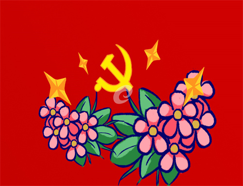 预备党员转正意见范文总结5篇