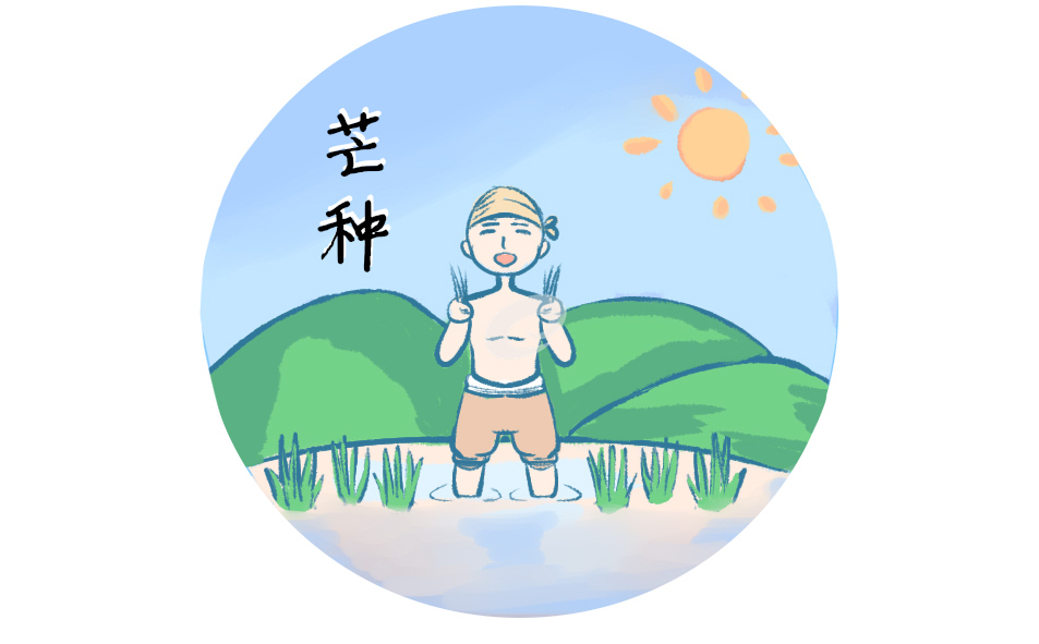 二十四节气芒种节气习俗_芒种时期南方容易