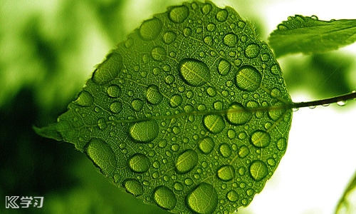 暴雨洪灾应急预案知识5篇