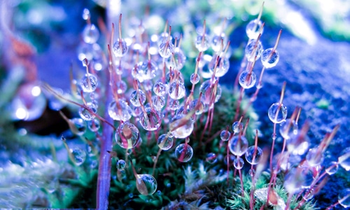 2021教师节送给老师的诗歌朗诵