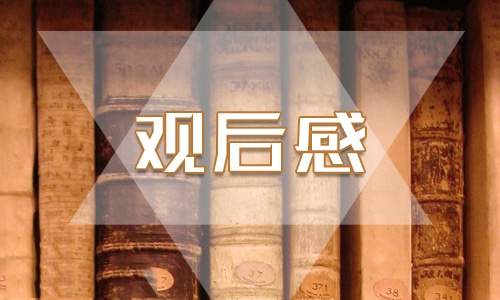暑假安全第一课防溺水安全节目观后感5篇
